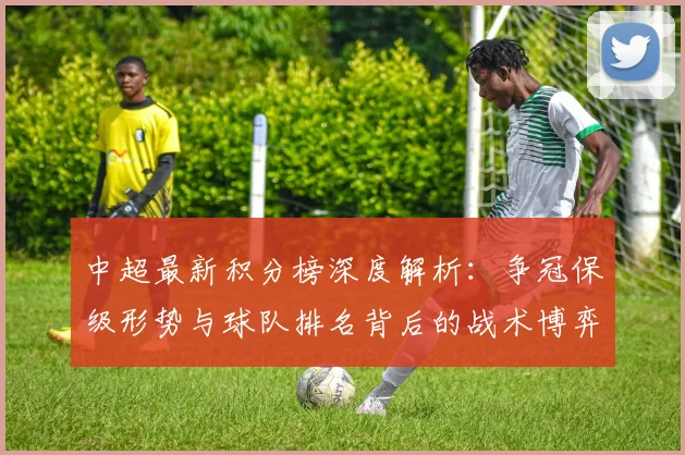 中超最新积分榜深度解析:争冠保级形势与球队排名背后的战术博弈