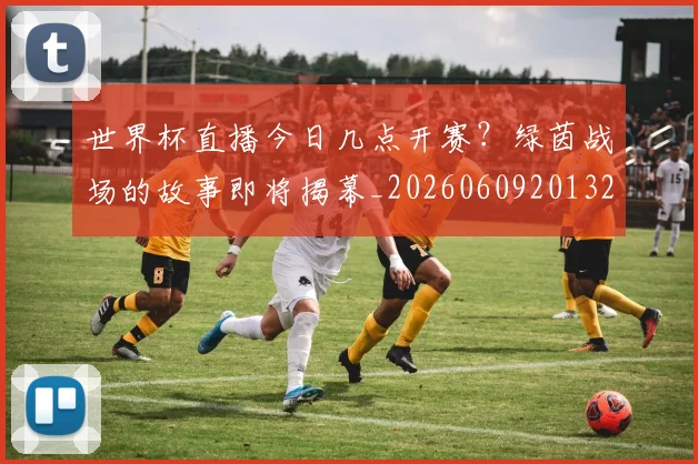 世界杯直播今日几点开赛?绿茵战场的故事即将揭幕_20260609201320
